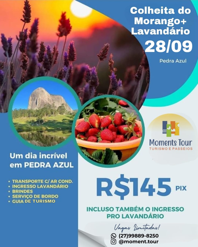 Excursão Pedra Azul (Colheita do Morango e Lavandário). Embarque: Serra -  ES