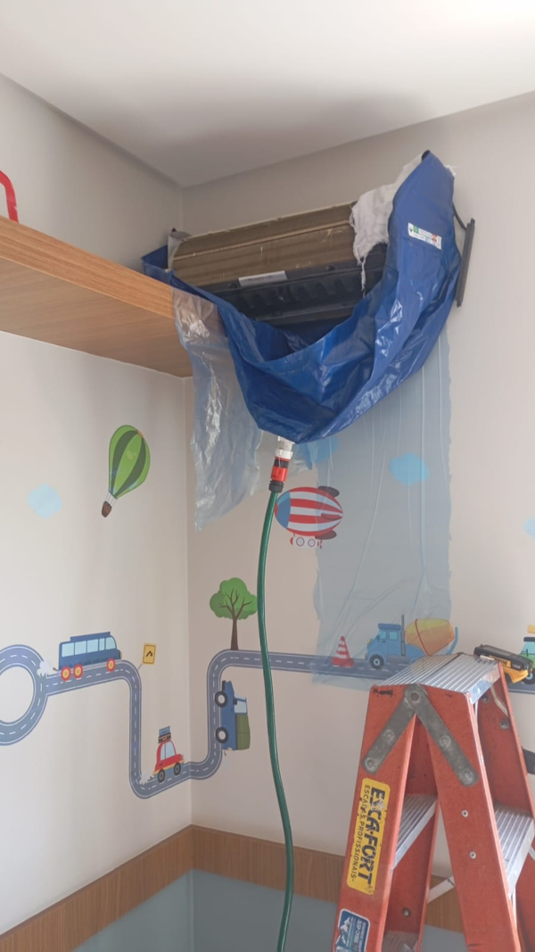 clean-arg3299.webp